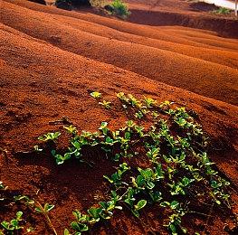 开发者透露《采石场惊魂》平均游戏时长约为10小时