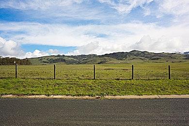 国外主播连续打通FromSoftware七款游戏 无伤且不升级